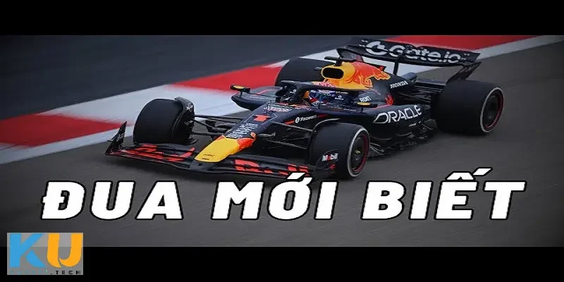 ca cuoc dua oto